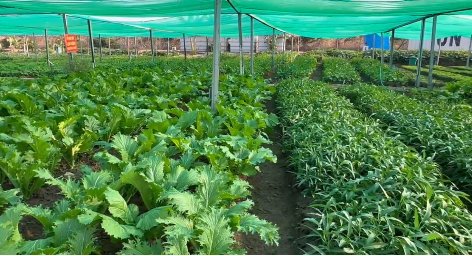 /UploadStore/admin/260421 kiem tra coe quy i/5.png